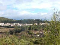 DSCN1679