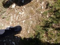 DSCN1697
