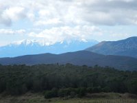 DSCN1707