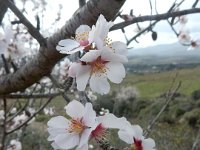 DSCN1710