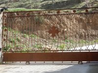 DSCN1736