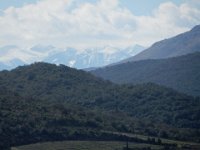 DSCN1741