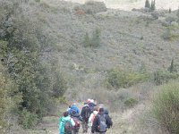 DSCN1761