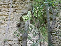 DSCN3441