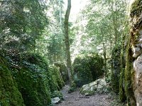 DSCN3443