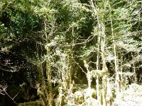 DSCN3450