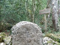 DSCN3500