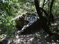 DSC00990