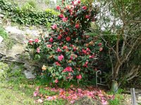 DSC01076