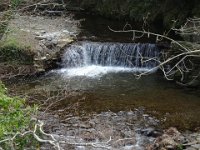 DSC01090