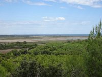 DSC06050