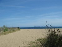 DSC00388