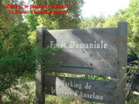 DSC00437