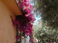 DSC07862