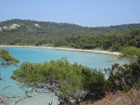 DSC08005