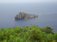 DSC08190