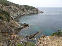DSC08201
