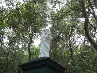 DSC08235