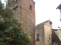 DSC08296