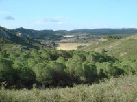 DSC00639