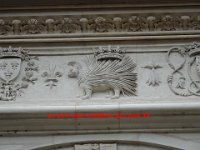 DSC09478