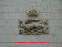 DSC09515