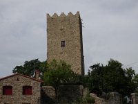 DSC02503