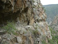 DSC02565
