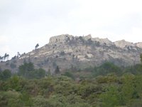 DSC03517