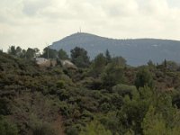 DSC03553