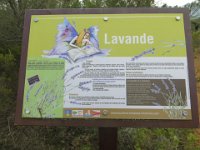 IMG 0013
