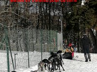 IMG 20230202 110744