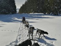 IMG 20230202 120214 1