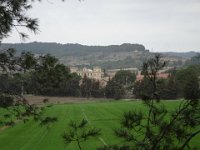 DSC03480