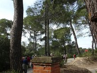 DSC03486