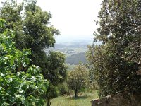 DSC04068