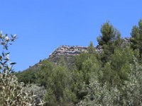IMG 3154