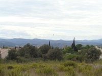 DSC04936