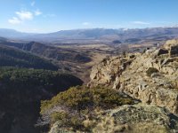 IMG-20240131-WA0005