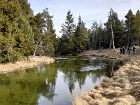 IMG-20240201-WA0003
