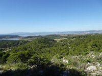 DSC00703
