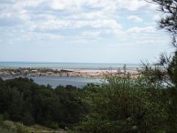 DSC00732