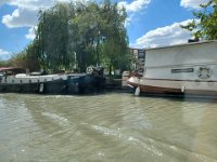 IMG-20240423-WA0047