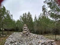 20241125 111325