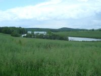 DSC00515
