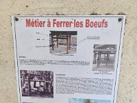 IMG-20250508-WA0068