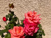 IMG-20250508-WA0080