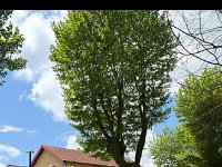 IMG-20250508-WA0093