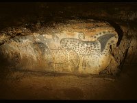 14-Chevaux-ponctues-grotte-Pech-Merle