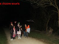 IMG 9642
